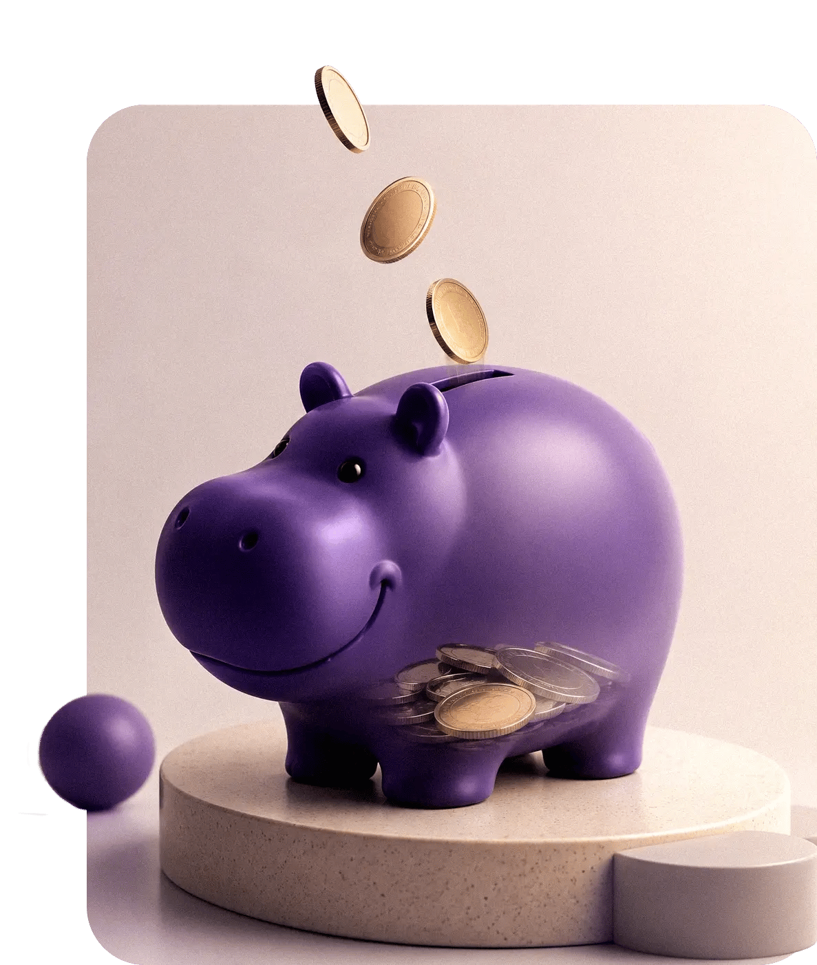 economize1